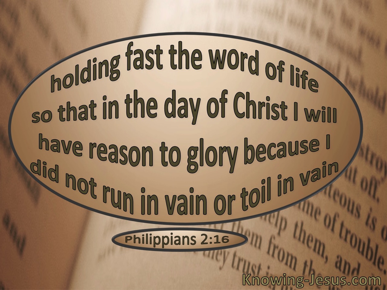 Philippians 2:16 Hold Fast The Word Of Life (sage)